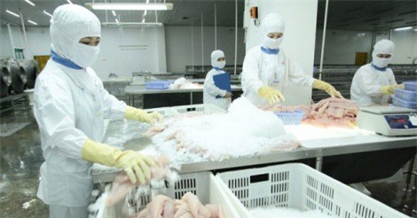 Việt Nam khiếu nại WTO về việc Mỹ áp thuế cá phi lê