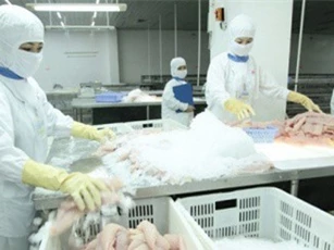 Việt Nam khiếu nại WTO về việc Mỹ áp thuế cá phi lê