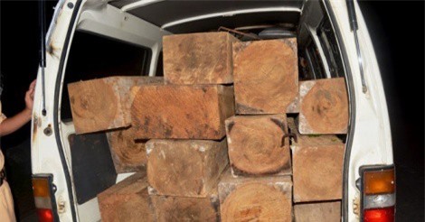 Bị kiểm lâm truy đuổi, "lâm tặc" bỏ xe chất đầy gỗ chạy thoát thân