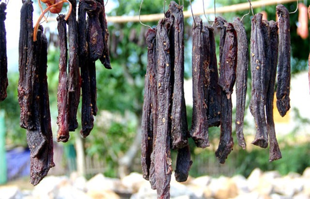 Bò giàng - đặc sản của núi rừng miền Tây xứ Nghệ