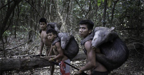 Khám phá bộ tộc nhận nuôi động vật như con đẻ