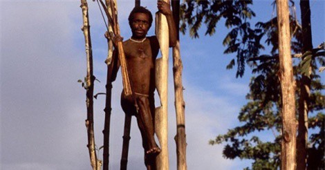 Bộ tộc sống trên ngọn cây bị đồn ăn thịt người