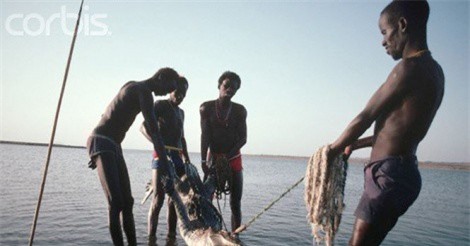 Lạ kỳ bộ tộc dùng cơ thể làm mồi săn hà mã và cá sấu