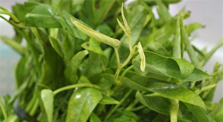 Đặc sản tiến vua vô cùng bình dị của người Hà Nội 