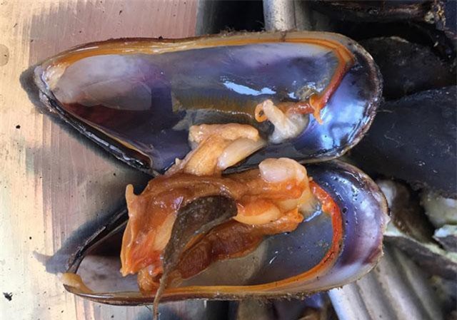 Tới Quảng Ngãi nhớ thưởng thức món “tối ông ăn, sáng bà cười”