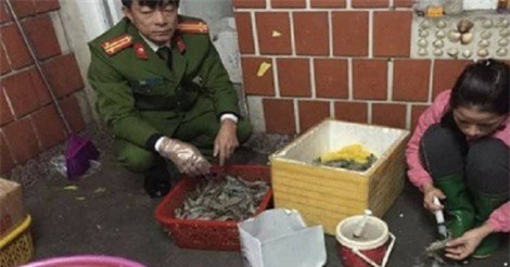 Triệt phá cơ sở bơm tạp chất vào tôm ở Hà Nội