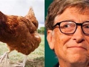 Tỷ phú Bill Gates sẽ làm gì nếu chỉ được tiêu 2 USD/ngày?