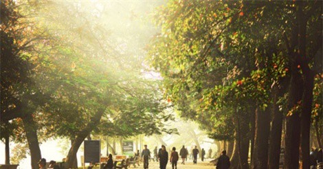 DỰ BÁO THỜI TIẾT (20/1): Miền Bắc tăng nhiệt mạnh, Nam Bộ giảm mưa