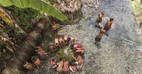 Khám phá cuộc sống của bộ lạc hoang dã nhất hành tinh ở Indonesia