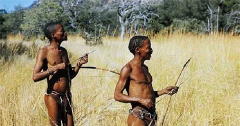 Độc đáo thuốc ngừa thai làm từ chất cực độc của thổ dân