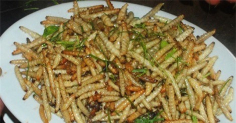 Sâu măng - thứ đặc sản chỉ dành cho người can đảm