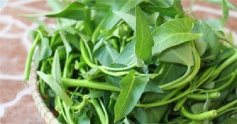 Ai không nên ăn rau muống?
