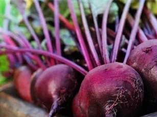 Củ dền tím - "trợ thủ" đắc lực cho người chơi thể thao, tập gym