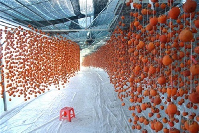 Đặc sản hồng sấy Đà Lạt tiều triệu hút hàng dịp Tết