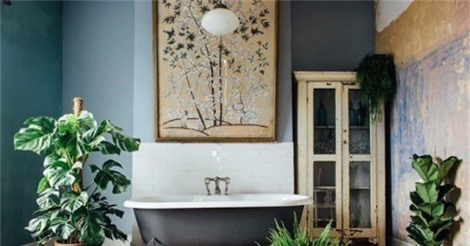 Đặt cây cảnh ngày Tết thế nào để không thiếu oxy?