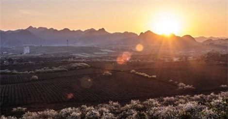 DỰ BÁO THỜI TIẾT (25/1): Nhiệt độ Bắc Bộ lên đỉnh trước đợt không khí lạnh