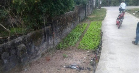 Hải Dương: Người đàn ông tử vong bất thường cạnh chiếc xe đạp