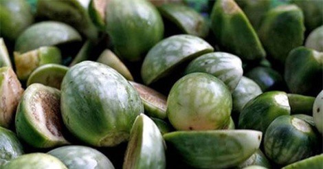 Cà đắng - đặc sản nổi bật của quê hương Hoa hậu H'Hen Niê