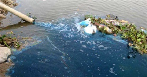 Gây ô nhiễm nguồn nước có thể bị phạt tới 250 triệu đồng