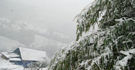 THỜI TIẾT NGÀY 29/1: Không khí lạnh tăng cường mạnh, Bắc Bộ xuất hiện băng giá