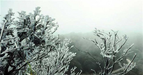 DỰ BÁO THỜI TIẾT (30/1): Nhiệt độ cả nước giảm sâu, đỉnh Mẫu Sơn -1 độ C