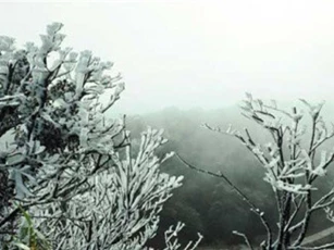 DỰ BÁO THỜI TIẾT (30/1): Nhiệt độ cả nước giảm sâu, đỉnh Mẫu Sơn -1 độ C