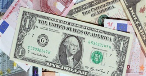 Tỷ giá ngoại tệ ngày 30/1: USD trên đà hồi phục, euro giảm