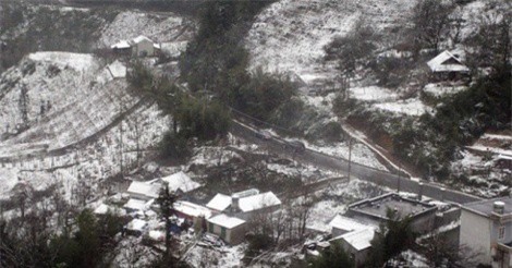 Clip: Tuyết bất ngờ rơi “phủ trắng” Sa Pa vào sáng nay