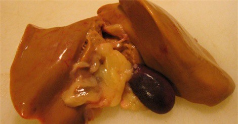 Những bộ phận có công dụng sức khỏe ít ngờ tới của gà