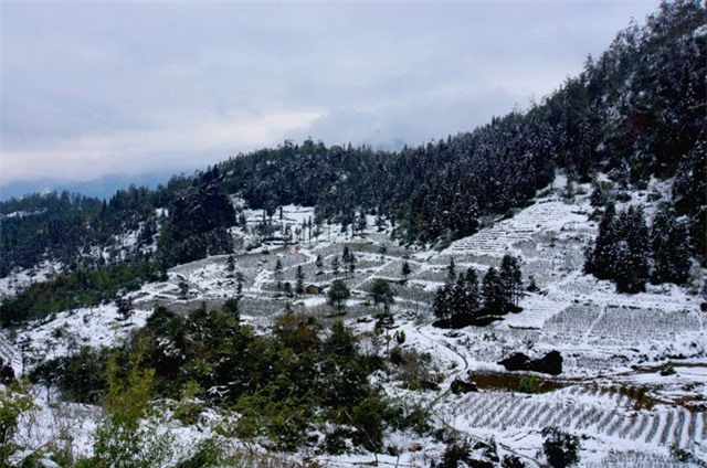 DỰ BÁO THỜI TIẾT (1/2): Sa Pa có tuyết rơi dày, Bắc Bộ tiếp tục rét sâu