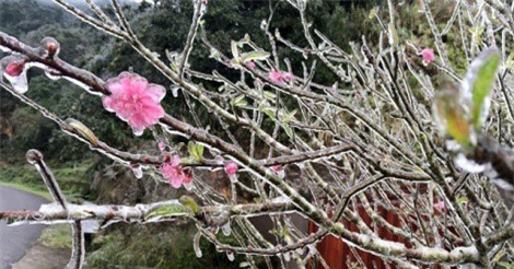 DỰ BÁO THỜI TIẾT (2/2): Rét hại kéo dài thêm 5 ngày, Hà Nội hửng nắng