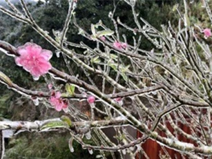 DỰ BÁO THỜI TIẾT (2/2): Rét hại kéo dài thêm 5 ngày, Hà Nội hửng nắng