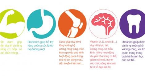 Kết hợp dinh dưỡng để làm đẹp