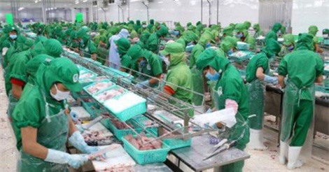 Kinh tế đầu năm với nhiều tín hiệu tích cực