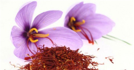 Những món quà Tết bạc tỷ được nhà giàu Việt săn lùng