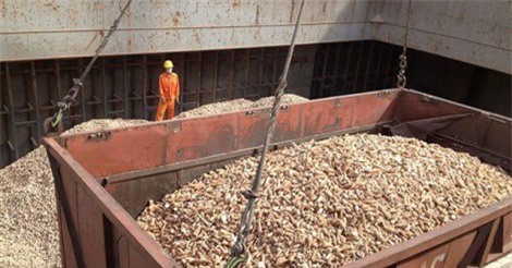 Trung Quốc đẩy mạnh dùng xăng sinh học, sắn Việt “sốt” hàng