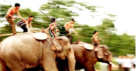 Lễ hội đua voi độc đáo ở Bản Đôn