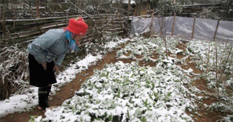 DỰ BÁO THỜI TIẾT (5/2): Không khí lạnh tăng cường mạnh, nhiệt độ Bắc Bộ giảm sâu