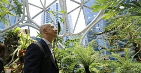 Jeff Bezos chi 4 tỷ USD mang "mưa nhân tạo" vào nơi làm việc