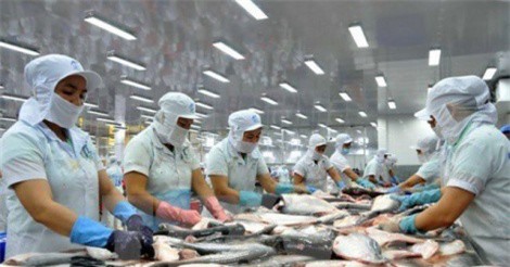 Nhận diện thách thức với hàng thủy sản xuất khẩu của Việt Nam vào Mỹ