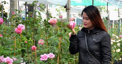 Những điều cần biết khi "động phòng" mùa xuân