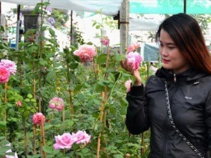 Những điều cần biết khi "động phòng" mùa xuân