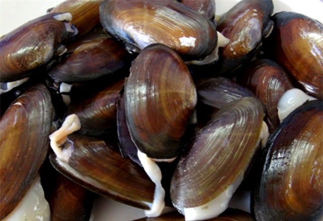 Phi cầu sài xứ Thanh - đặc sản tiến vua ngon và quý hiếm