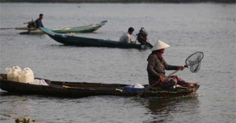 Cá chép vừa phóng sinh đã bị ''vợt" ngay khi đến sông Sài Gòn