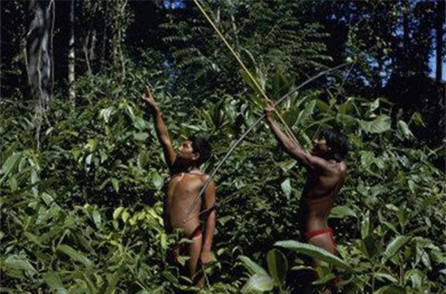Kinh hãi hủ tục ăn tro người chết của bộ lạc ở Amazon