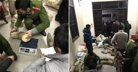 Bắt quả tang "nữ quái" cố thủ trong nhà với gần 1 tấn ngà voi