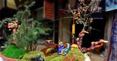 Chiêm ngưỡng gian hàng nấm linh chi bonsai "độc nhất vô nhị" ở Hà Nội