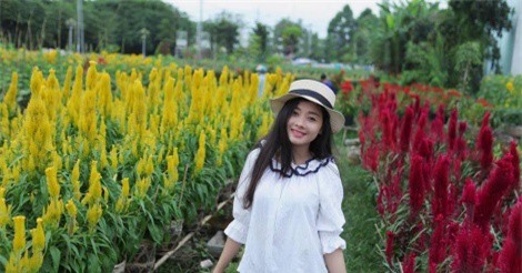 Khám phá 5 vườn hoa miền Tây đẹp "đốn tim" các 'thánh sống ảo"