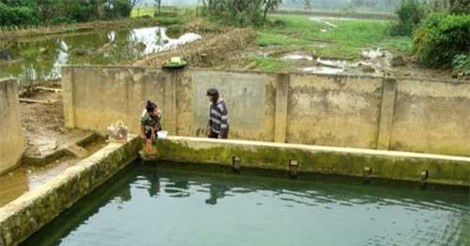 Bí ẩn "giếng thần" và khúc "gỗ Thánh" 500 tuổi ở Hòa Bình