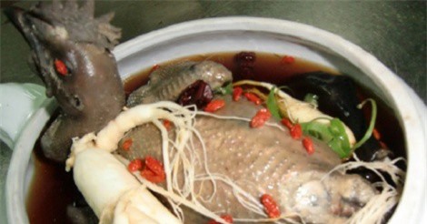 Nhân sâm bổ dưỡng nhưng không phải ai cũng dùng được